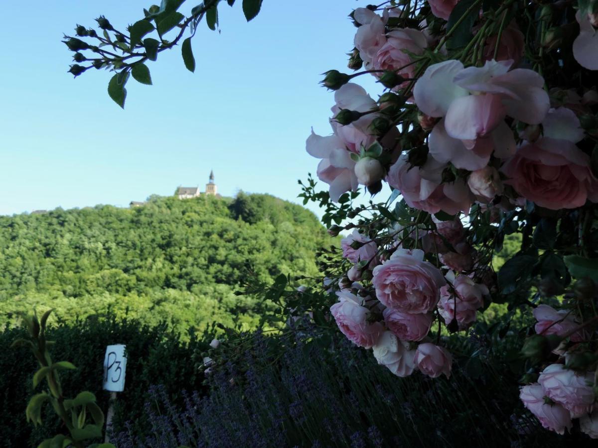 Bed and Breakfast Les 5 Petits Lapins Bar Экстерьер фото